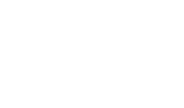 Optifleet